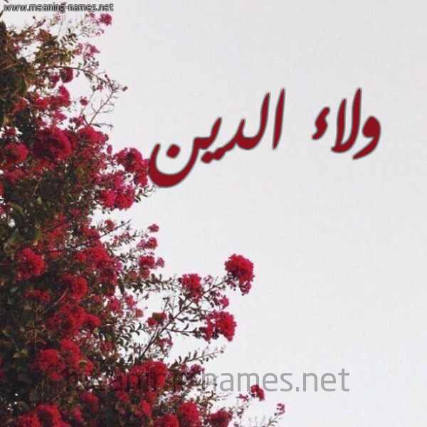 شكل 18 صوره الورد الأحمر للإسم بخط رقعة صورة اسم ولاء الدين ,Walaa-Aldin